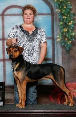 A LoneStar Kennels profile photo
