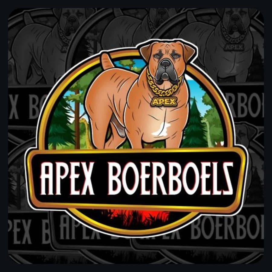 Apex Boerboel Kennel profile photo