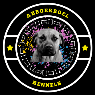 Az Boerboel Kennels profile photo