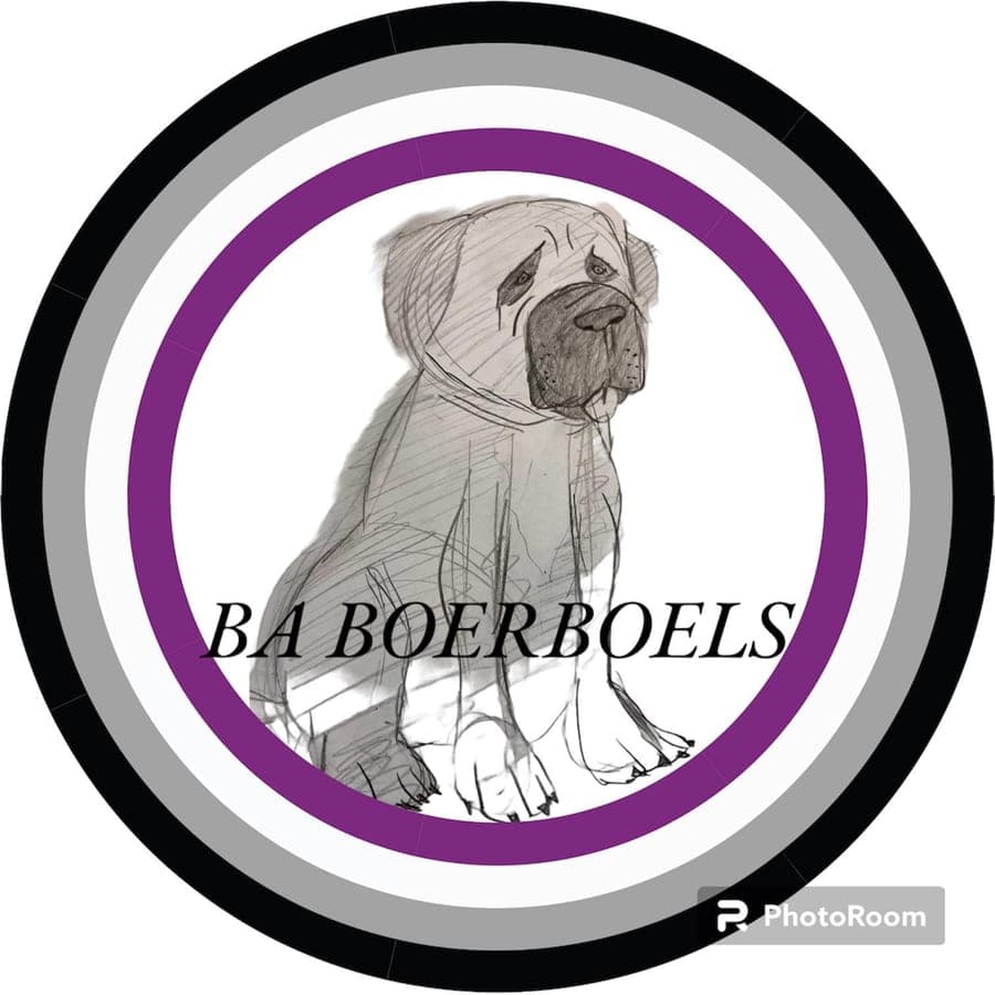 BA Boerboels profile photo