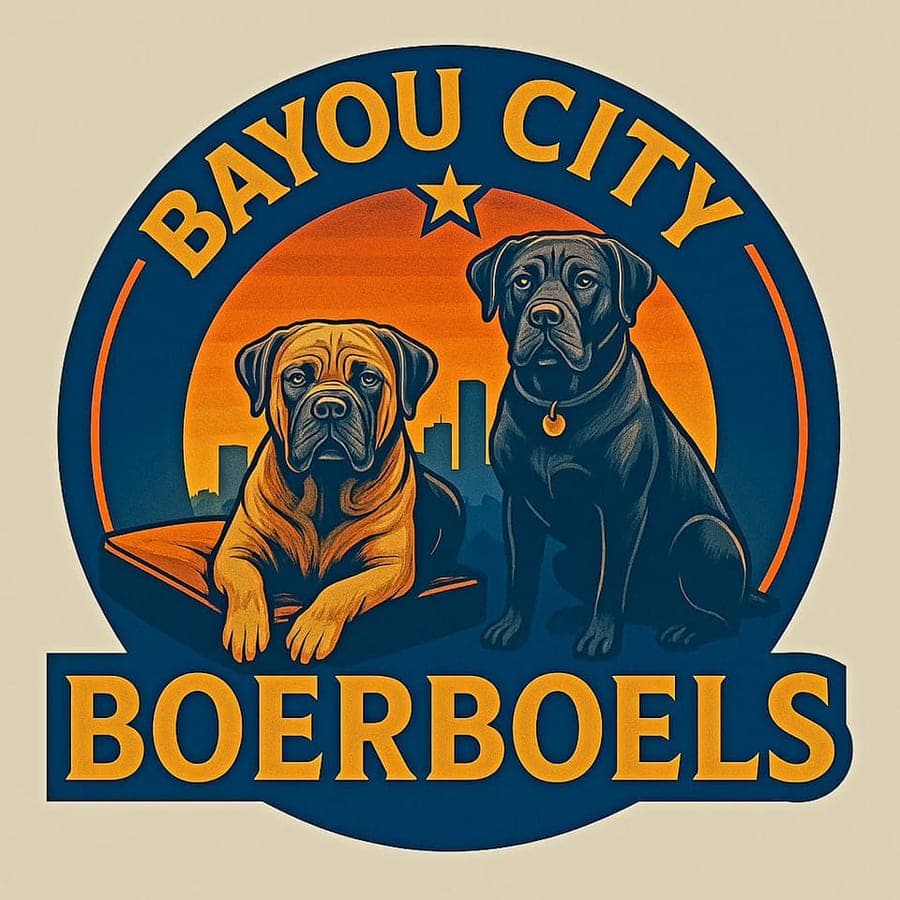 Bayou City Boerboels profile photo