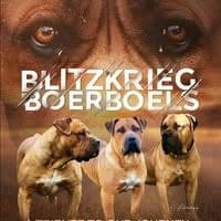 Blitzkrieg Boerboels profile photo