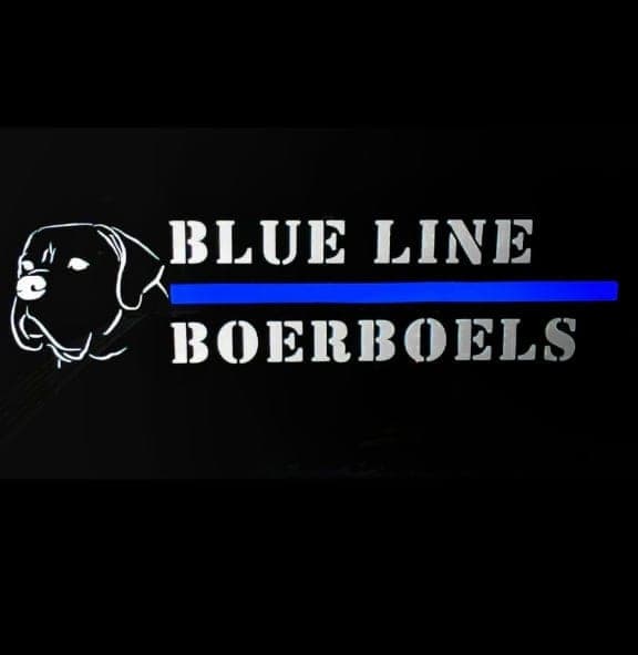 Blueline Boerboels profile photo