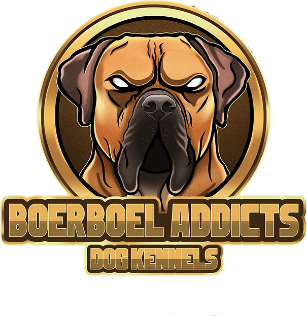 Boerboel Addicts Dog Kennels profile photo