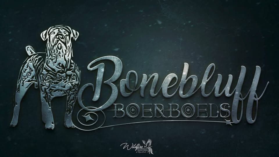 BoneBluff Boerboels profile photo