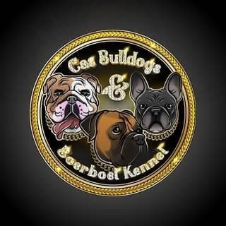 Cas Bulldogs & Boerboel Kennel profile photo