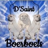D'Saint Boerboels profile photo