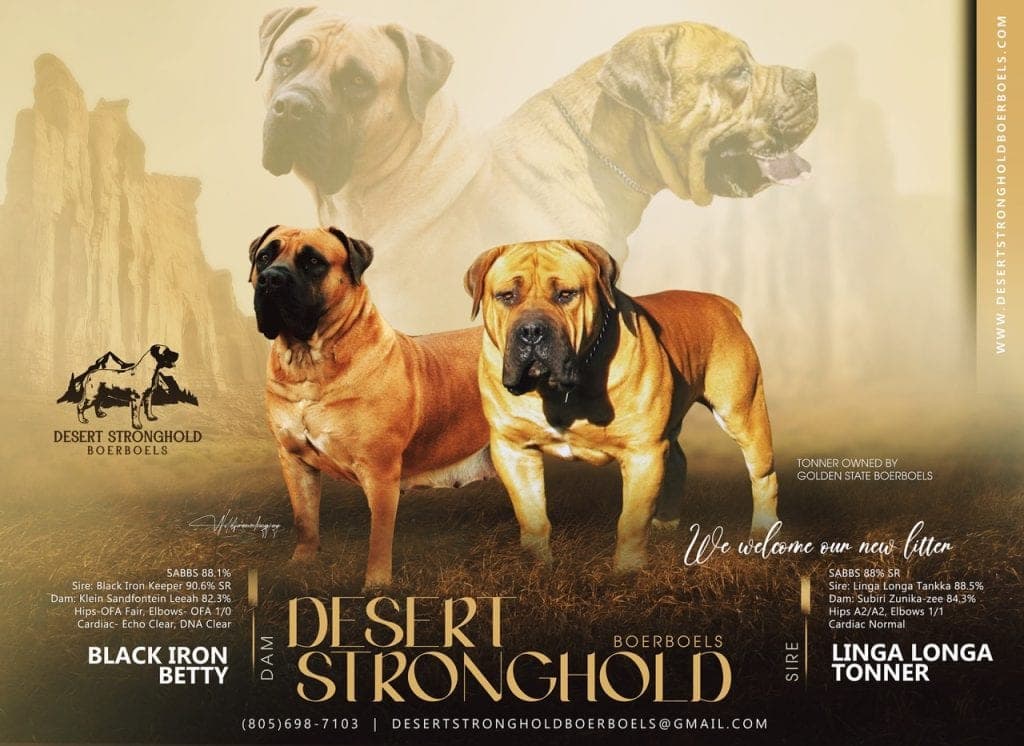 Desert Stronghold Boerboels profile photo