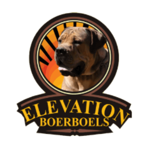 Elevation Boerboels (Elevation Stud) profile photo
