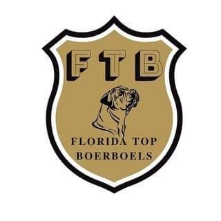 Florida Top Boerboels profile photo