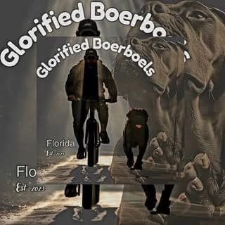 Glorified Boerboel Kennels profile photo