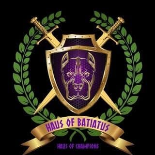 Haus of Champions (Haus of Batiatus) profile photo