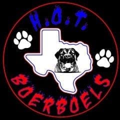 Heart of Texas Boerboels LLC profile photo