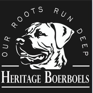 Heritage Boerboels profile photo