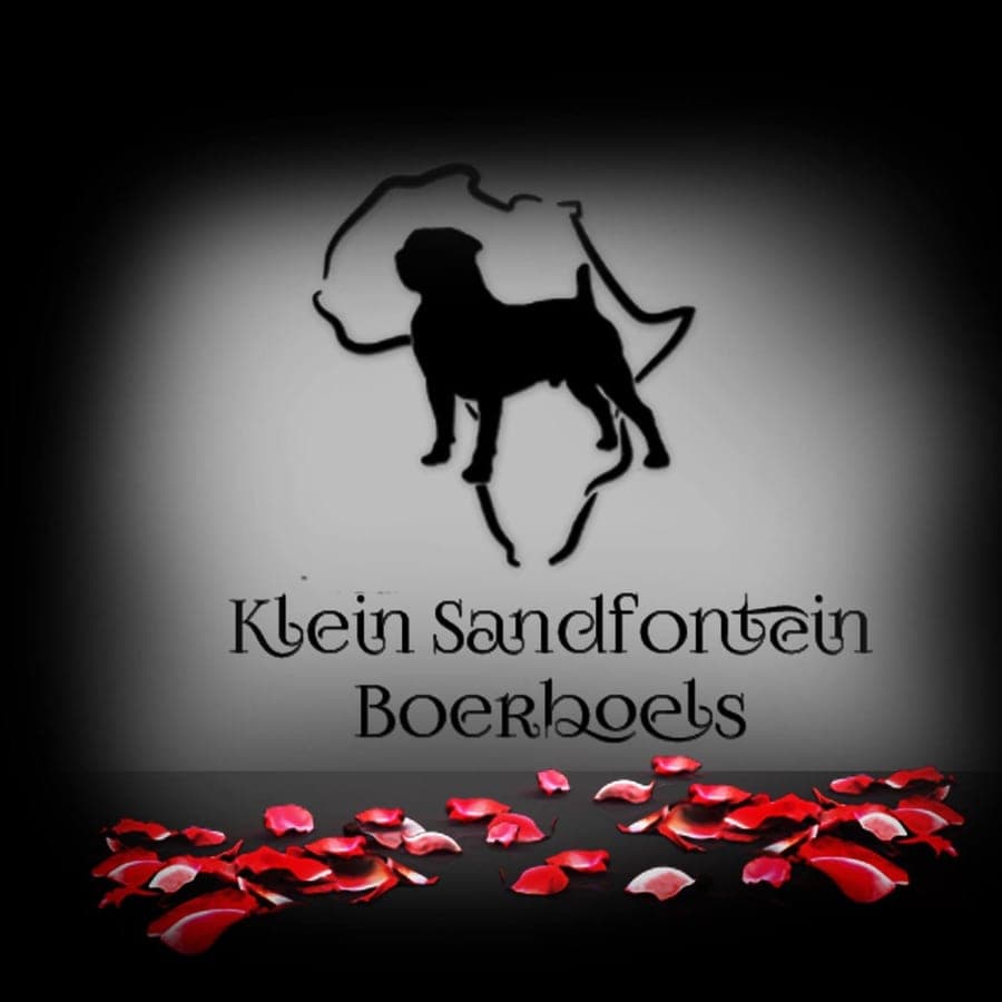 Klein Sandfontein Boerboels profile photo