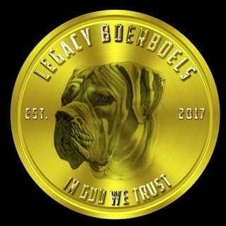 Legacy Boerboels profile photo