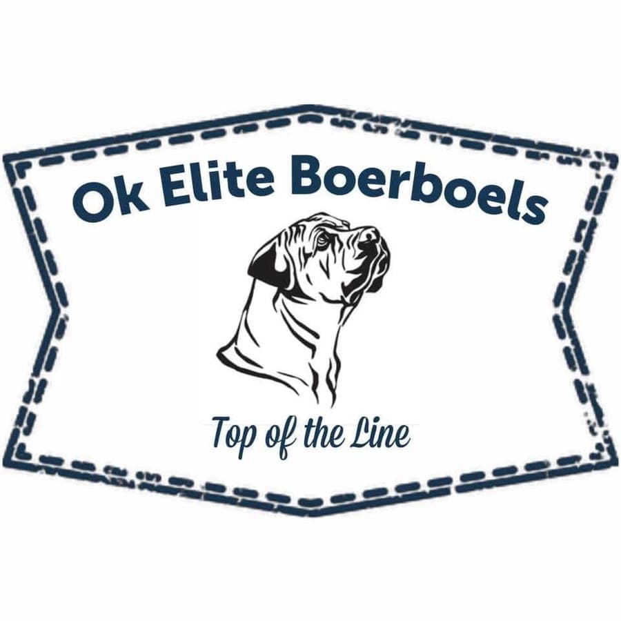 OKElite Boerboels profile photo