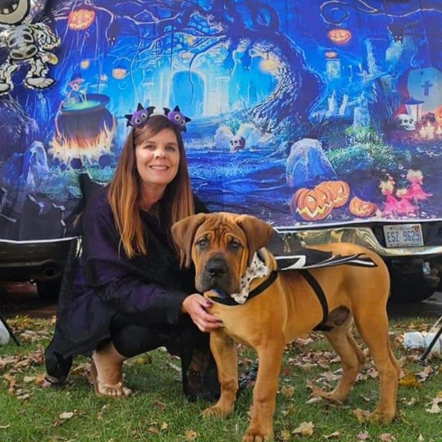 Pine River Boerboels profile photo