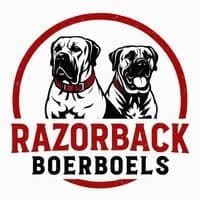Razorback Boerboels profile photo