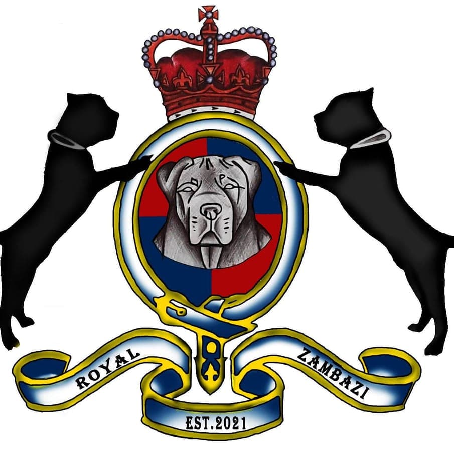 Royal Zambazi Boerboels profile photo