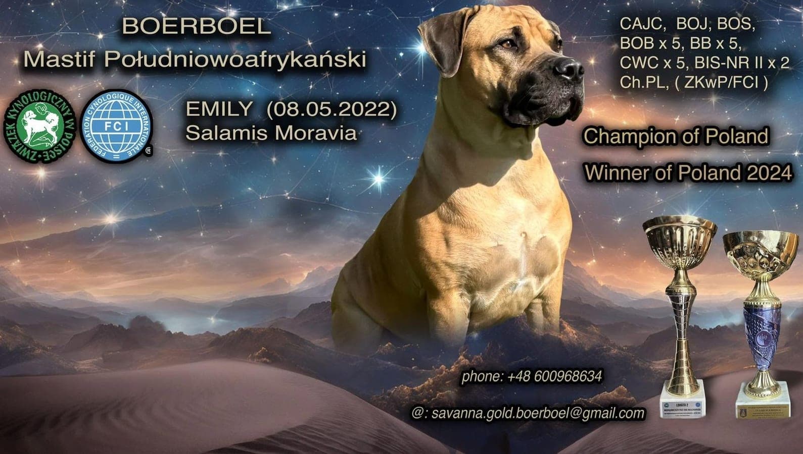 Savanna Gold Boerboels profile photo