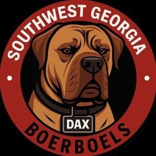 Southwest Georgia Boerboels profile photo