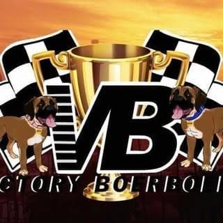 Victory Boerboels profile photo