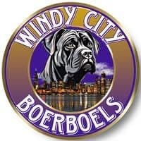 Windy City Boerboels profile photo